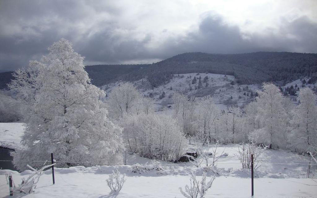 Les Chantenees La Bresse Exterior photo